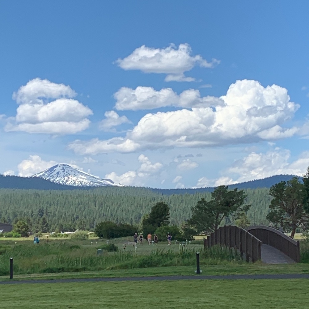 Meet your Posher, Sunny